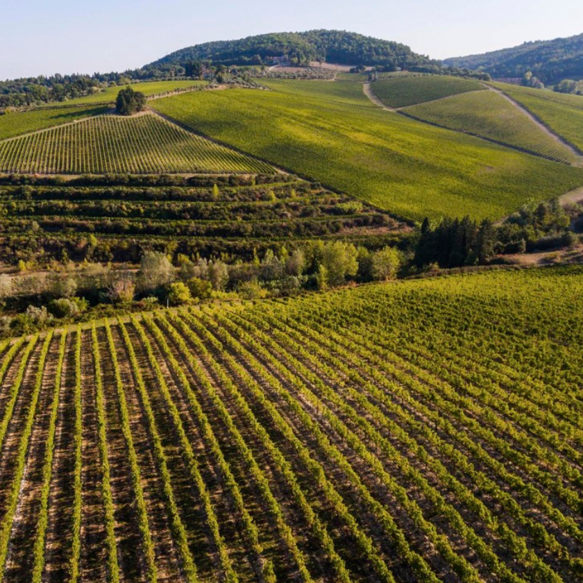 Marchesi Antinori - Pacchetto Completo con Oracle JD Edwards, BI, GN Mobile e GN OMS